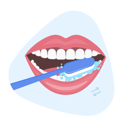 Brushing all teeth